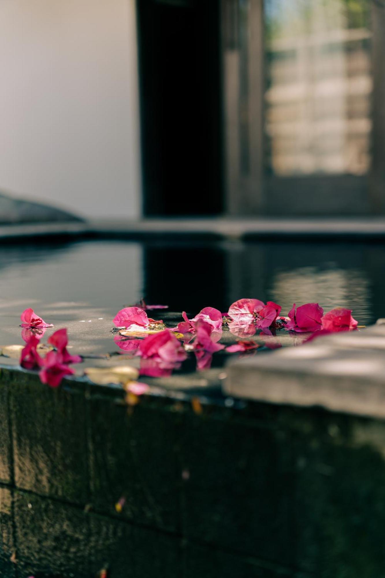Anacardier Prive Hotel Atins Ngoại thất bức ảnh